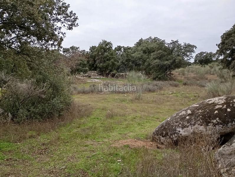 Foto d3c21d56-26ed-4617-8158-2750bace0ef5. Finca rústica en Colmenar del Arroyo