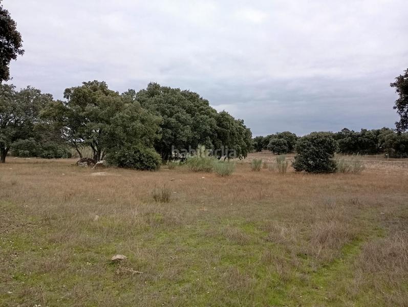 Foto f391e6e3-2d38-4724-90ff-60af37cac201. Finca rústica en Colmenar del Arroyo