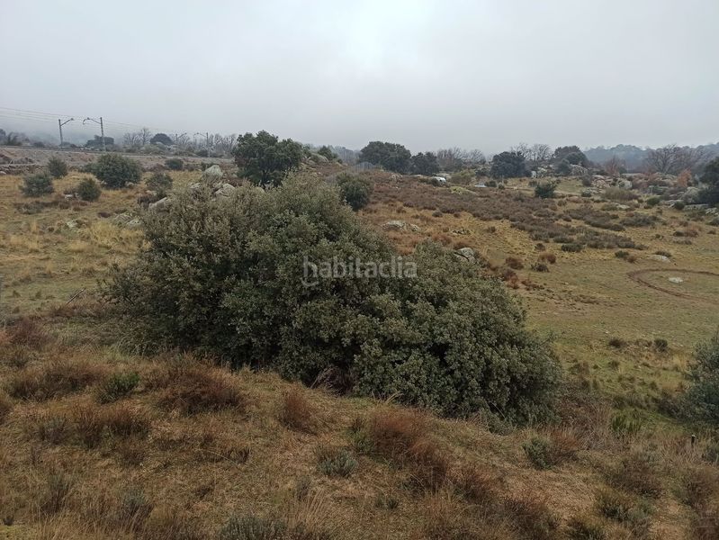 Foto 68a7bd86-37e7-4eed-bc24-a8fd5d3815e4. Landgut in Zarzalejo