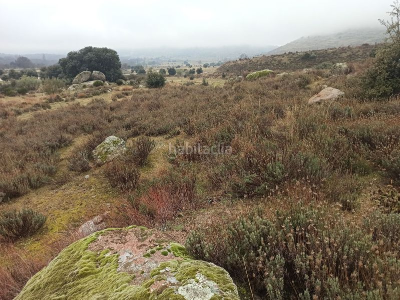 Foto b65db300-39ca-4407-ad88-cd9ef5da1c66. Landgut in Zarzalejo