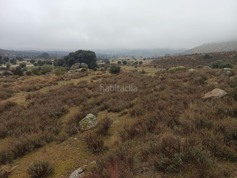 Foto eef255a8-b09f-406a-af98-b3f009ca8249. Landgut in Zarzalejo