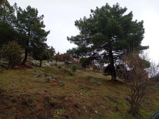 Residential Plot in Robledo de Chavela