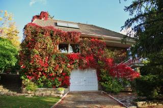House in Robledo de Chavela