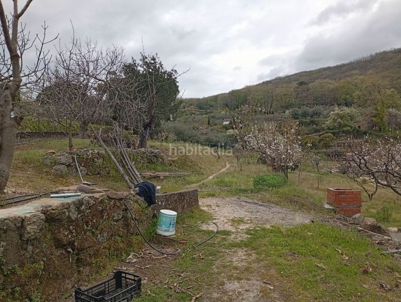 Foto 0a608462-f1f4-4e74-8305-b9f6d061d670. Finca rústica a Villanueva de la Vera