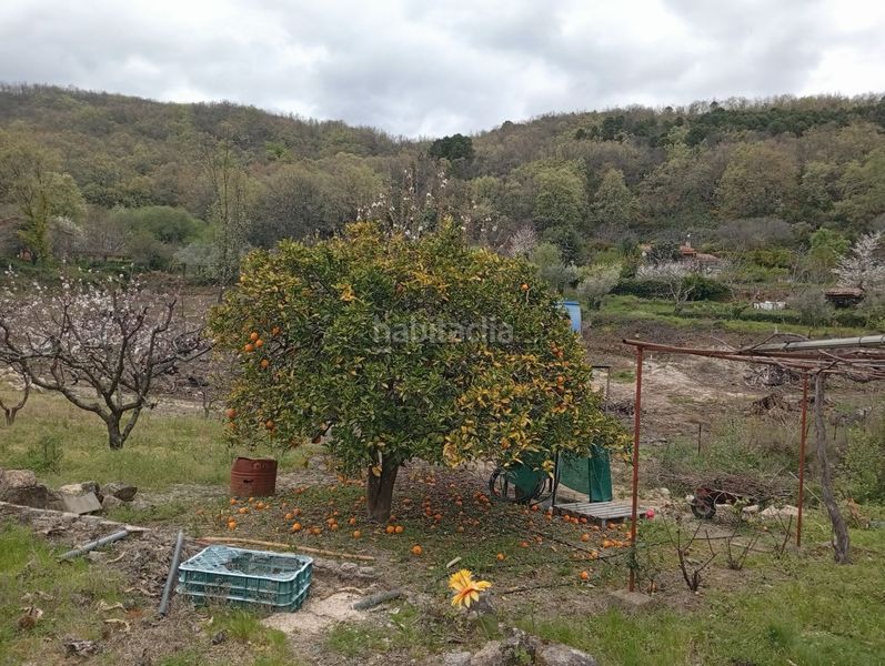 Foto 1abc8872-6425-4324-811f-965f45b007f1. Finca rústica a Villanueva de la Vera