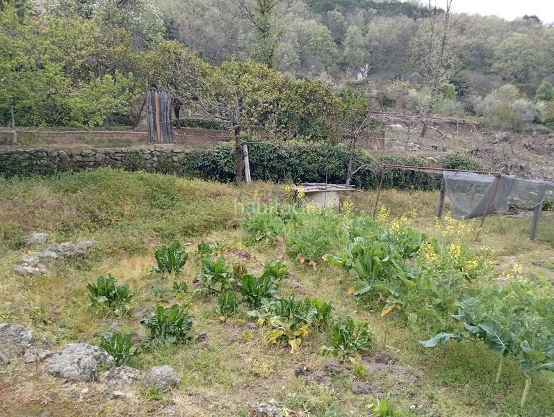 Foto 3aa0b1b2-9ac9-4b7c-ba47-dd2df3b02ea1. Finca rústica a Villanueva de la Vera