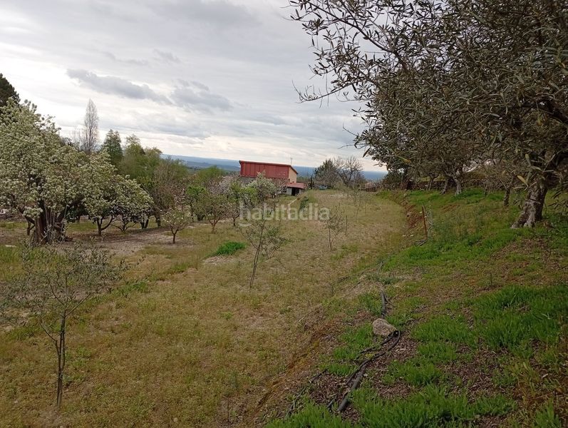 Foto 406417f4-f8d2-465f-9135-88bfbe7115ac. Finca rústica a Villanueva de la Vera