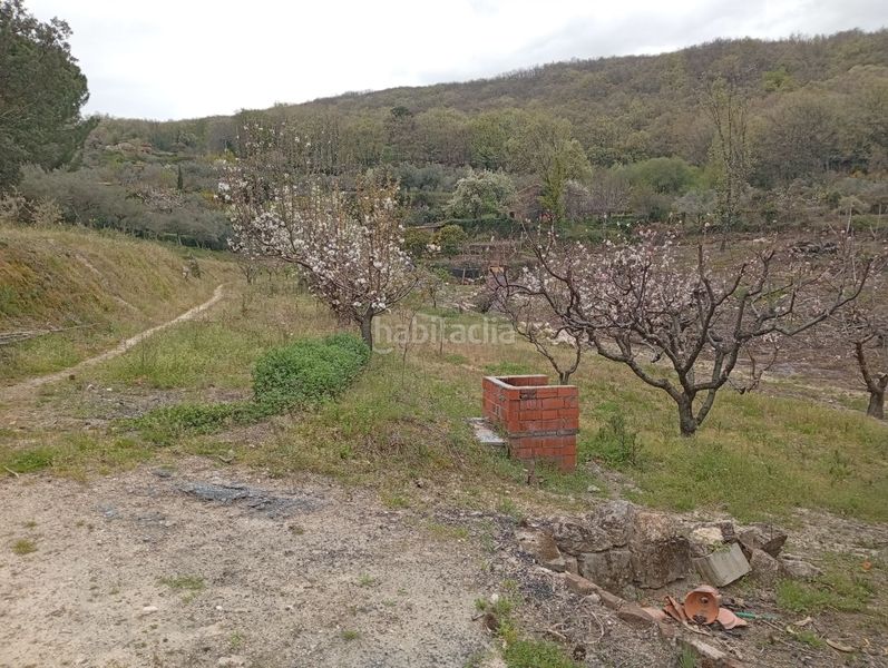 Foto 5a0585f5-bf71-45b1-9646-e3a3c181c436. Finca rústica a Villanueva de la Vera