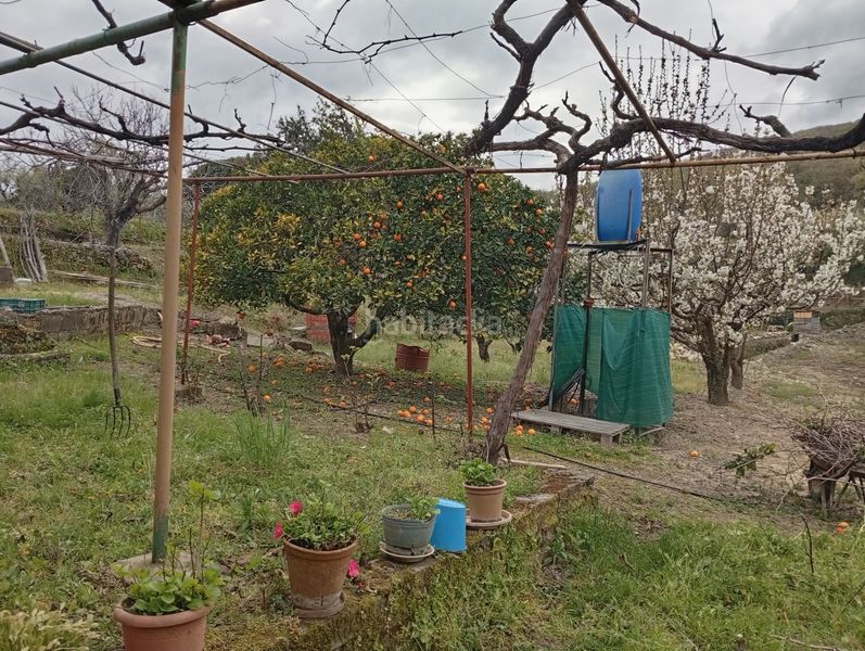 Foto a18b6be4-ad55-4c1e-8edf-1cf89b73a704. Finca rústica a Villanueva de la Vera