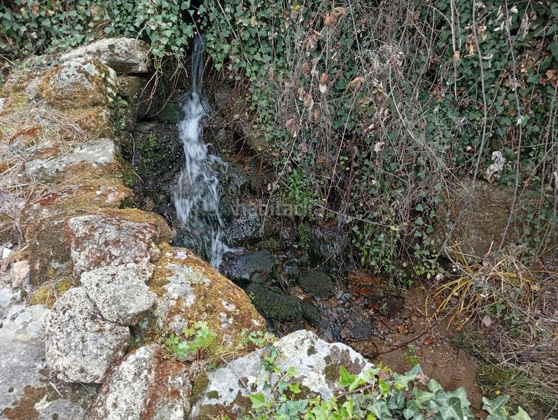Foto a5f4658d-74fe-4a44-a9dd-7b6f7deef6e9. Finca rústica a Villanueva de la Vera