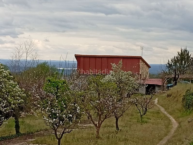 Foto a8181c16-a702-4f7f-9364-9cd8fc49dd1d. Finca rústica a Villanueva de la Vera
