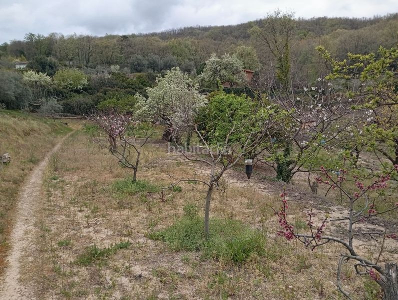 Foto b39020cc-2a0a-4d90-a917-5a8356eff6bb. Finca rústica a Villanueva de la Vera