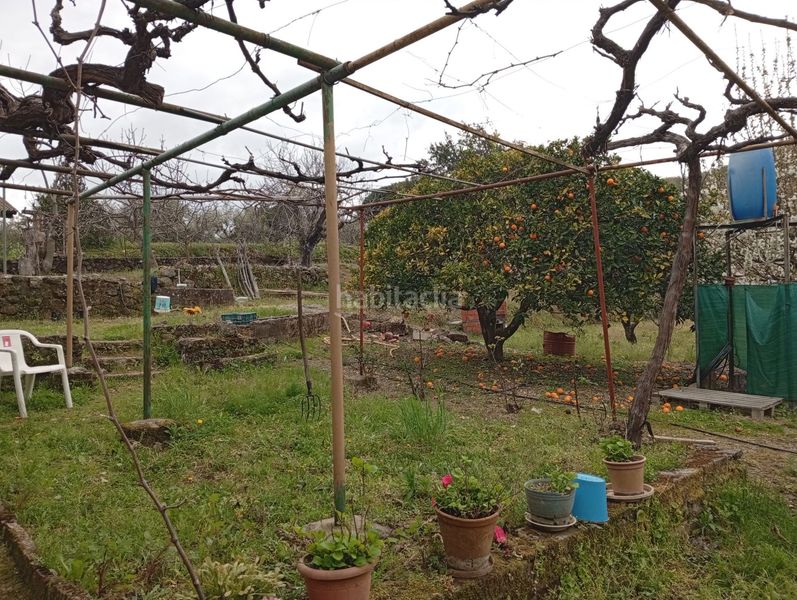 Foto c0ca9ad3-bbe2-4426-97ad-976a9ffe895f. Finca rústica a Villanueva de la Vera