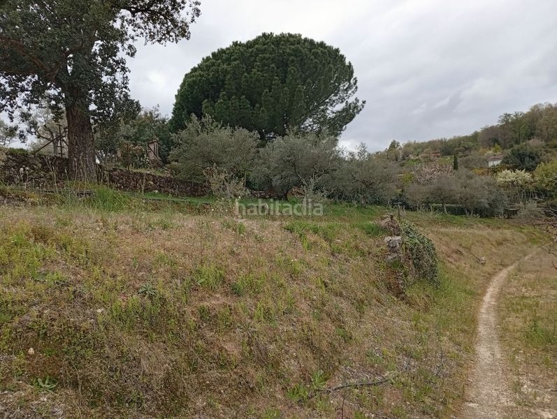 Foto d758c7d8-024e-456e-95de-e0f804ad6c21. Finca rústica a Villanueva de la Vera