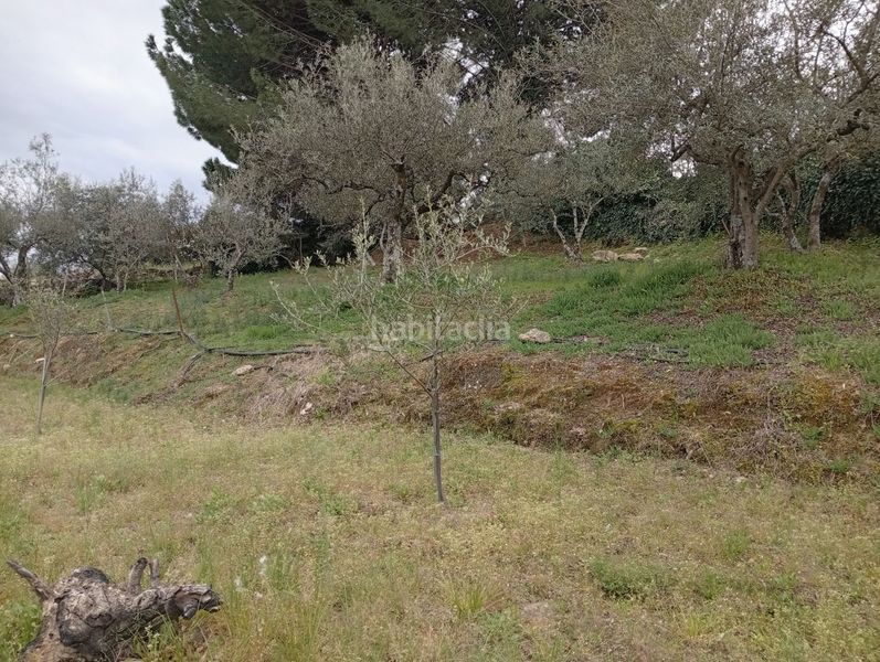 Foto d93ae35c-b373-4ca0-9f7b-fccd3287c339. Finca rústica a Villanueva de la Vera
