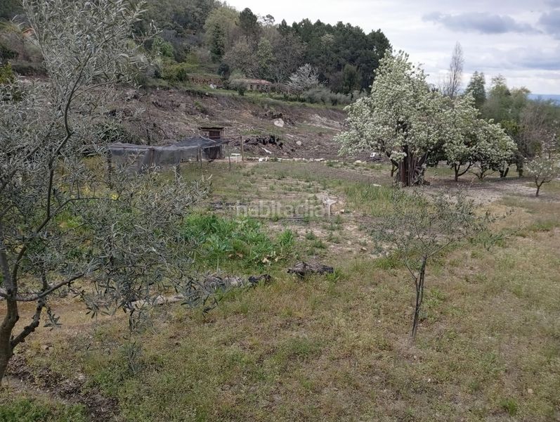 Foto dfd589a6-0246-43c7-ab43-93c08a25e78d. Finca rústica a Villanueva de la Vera