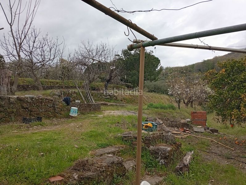 Foto ee4b126d-a73c-4ce9-98e6-41ea3735da6e. Finca rústica a Villanueva de la Vera