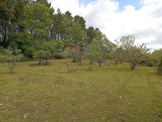 Finca rústica a Villanueva de la Vera