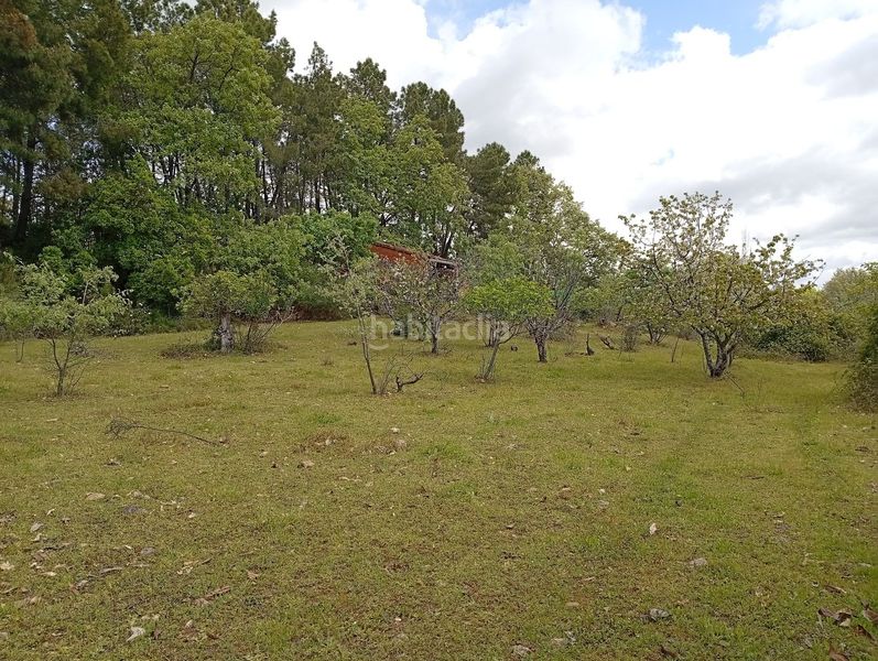 Foto 0184fed0-984a-4a31-8b67-e2534629ccbe. Finca rústica a Villanueva de la Vera