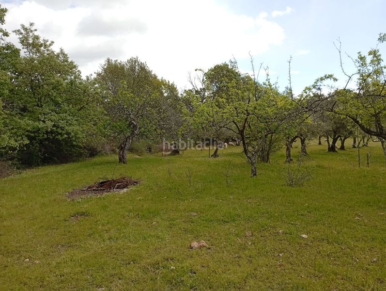 Foto 08a0f6f8-56a5-4982-a76d-c0b9210e2423. Finca rústica a Villanueva de la Vera