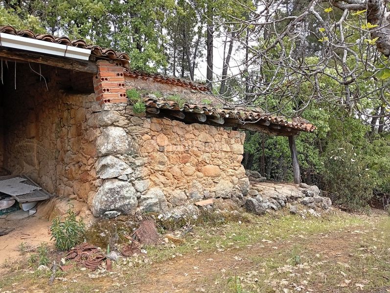 Foto 0a8cb81a-2ce5-4491-abc3-2950173fa4a9. Finca rústica a Villanueva de la Vera
