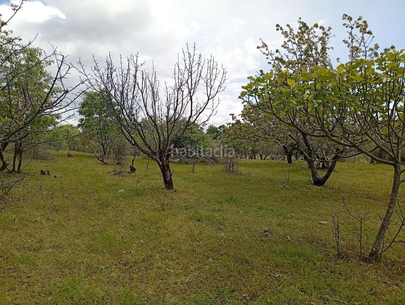 Foto 0f6169e0-a6df-4a2b-a1a4-c18caad1522e. Finca rústica a Villanueva de la Vera