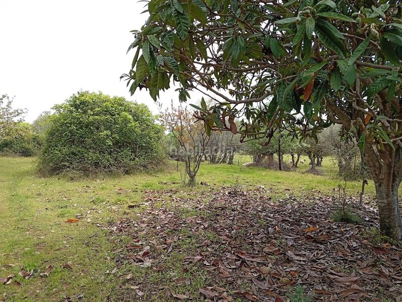 Foto 3f9a774c-9cfb-4908-bd97-8684a5bd0117. Finca rústica a Villanueva de la Vera