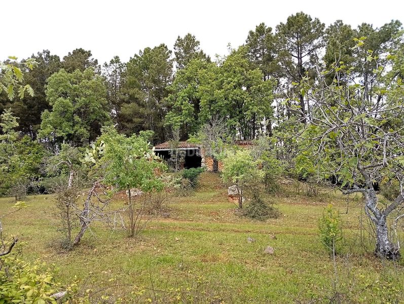 Foto 61b60c52-e813-4025-b87c-adf871e9a8f0. Finca rústica a Villanueva de la Vera