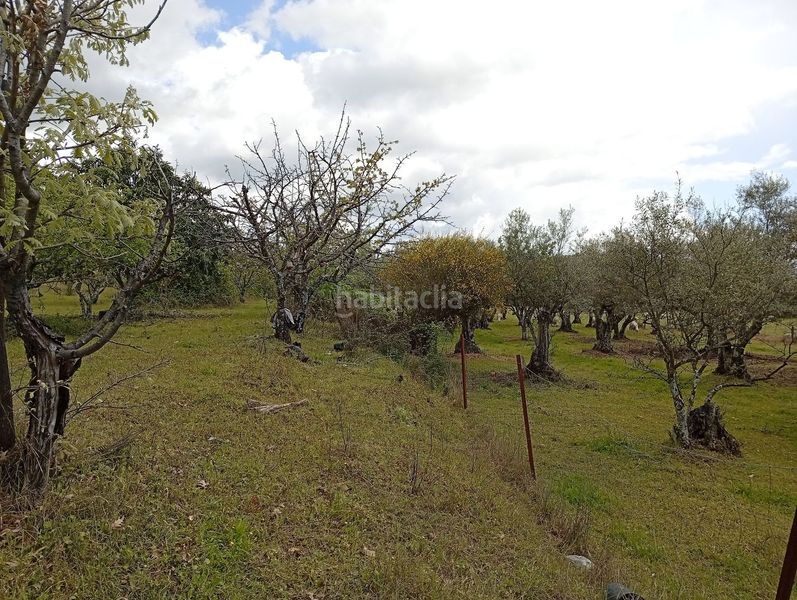 Foto a42528b6-9854-4e75-9b96-7729ee10b3a8. Finca rústica a Villanueva de la Vera