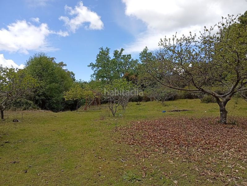 Foto a6e24ba7-e433-4205-a63e-838f61c7be62. Finca rústica a Villanueva de la Vera
