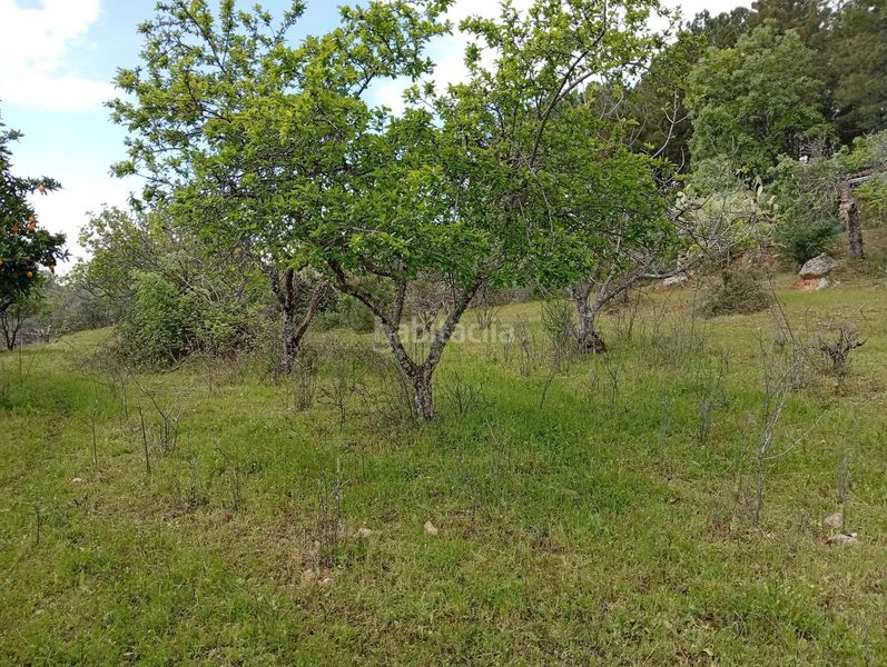 Foto a8320086-6ef7-42d7-b464-5d5d5833f4e3. Finca rústica a Villanueva de la Vera