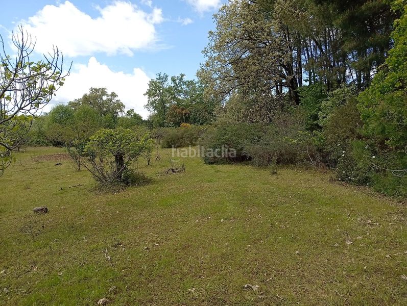 Foto abef3be9-55c1-43df-b096-09cf91841d4e. Finca rústica a Villanueva de la Vera