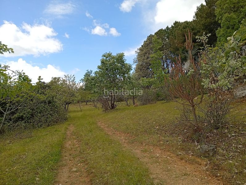 Foto ac36a079-009f-4f41-a9f9-8f048305693a. Finca rústica a Villanueva de la Vera