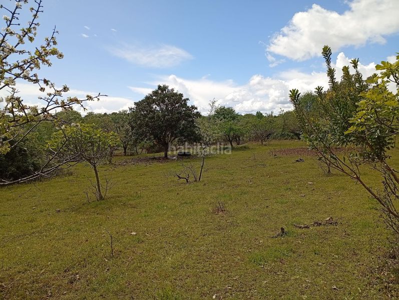 Foto c2237e63-0738-46db-b136-3a05fe8d3451. Finca rústica a Villanueva de la Vera