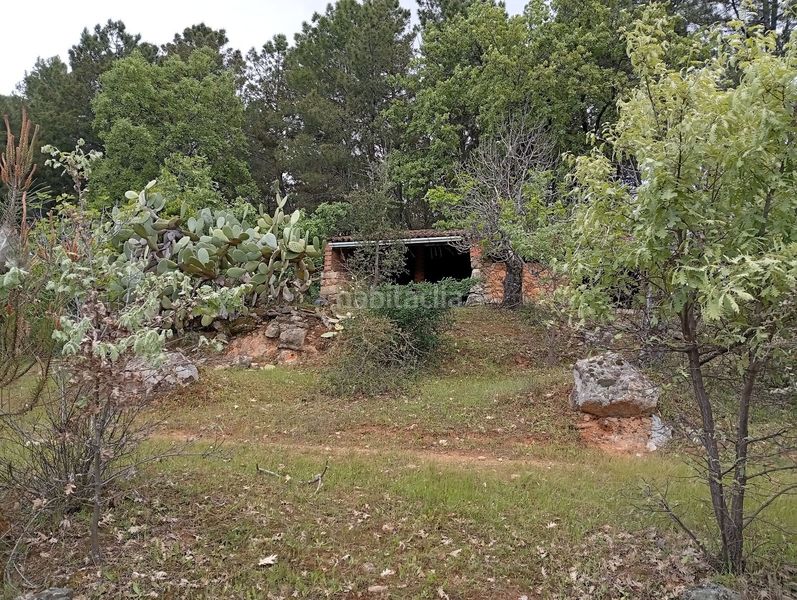 Foto c78df5f2-1e86-4892-8ff3-dfab9c2b8eac. Finca rústica a Villanueva de la Vera