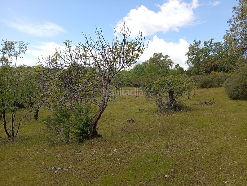 Foto d3596dec-1315-47b3-beb8-6d7b51e7dfc9. Finca rústica a Villanueva de la Vera