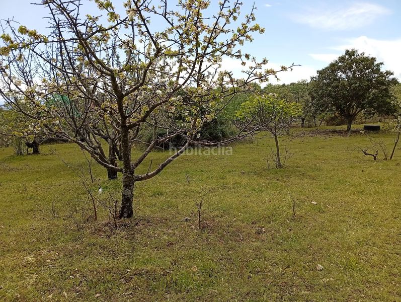 Foto d4830ac7-7ff8-4d87-9bbc-e895d0afcb10. Finca rústica a Villanueva de la Vera