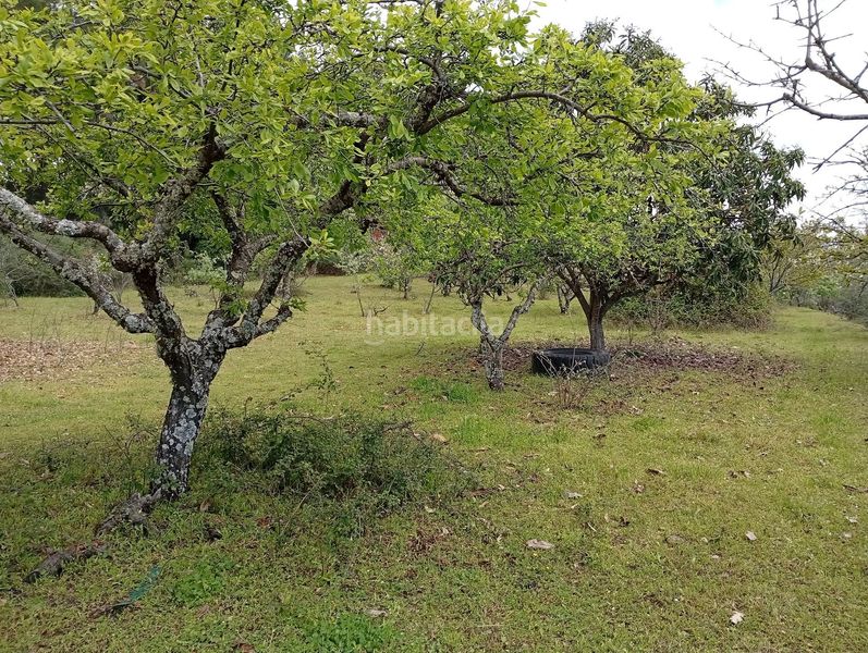 Foto e11522d2-0f03-450b-9dbb-94786388f31f. Finca rústica a Villanueva de la Vera