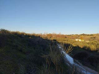 Rural plot in Quijorna