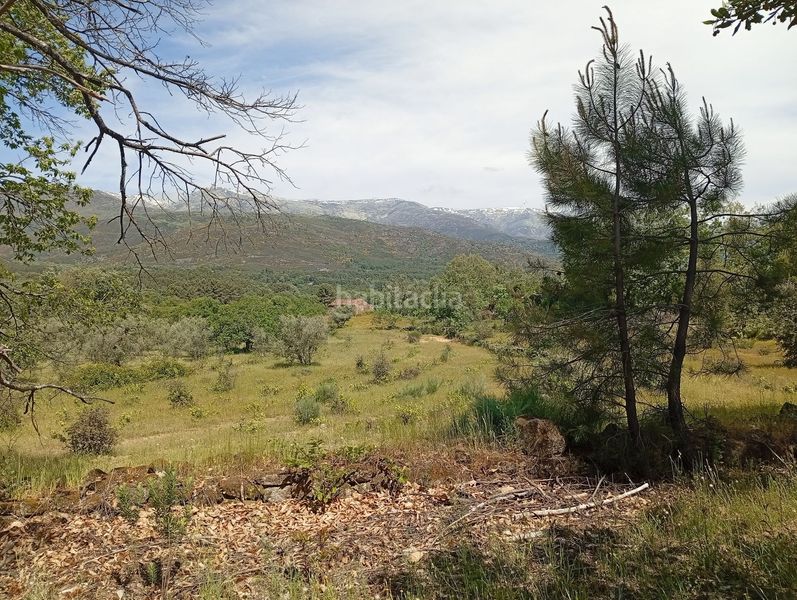 Foto 03eba40a-2da7-48ac-bc0c-2623f8e7694f. Finca rústica a Villanueva de la Vera