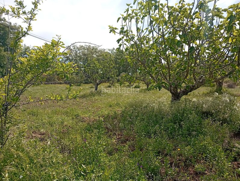 Foto 13007fb1-ea95-471e-aa1c-65bc1d98a874. Finca rústica a Villanueva de la Vera