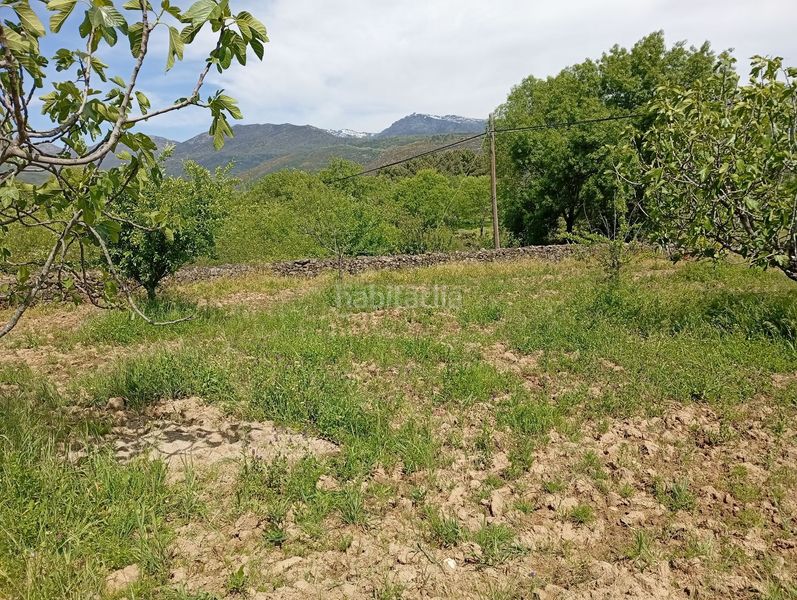 Foto 5b87c5d0-c562-4a8f-ba21-ce84681172f8. Finca rústica a Villanueva de la Vera