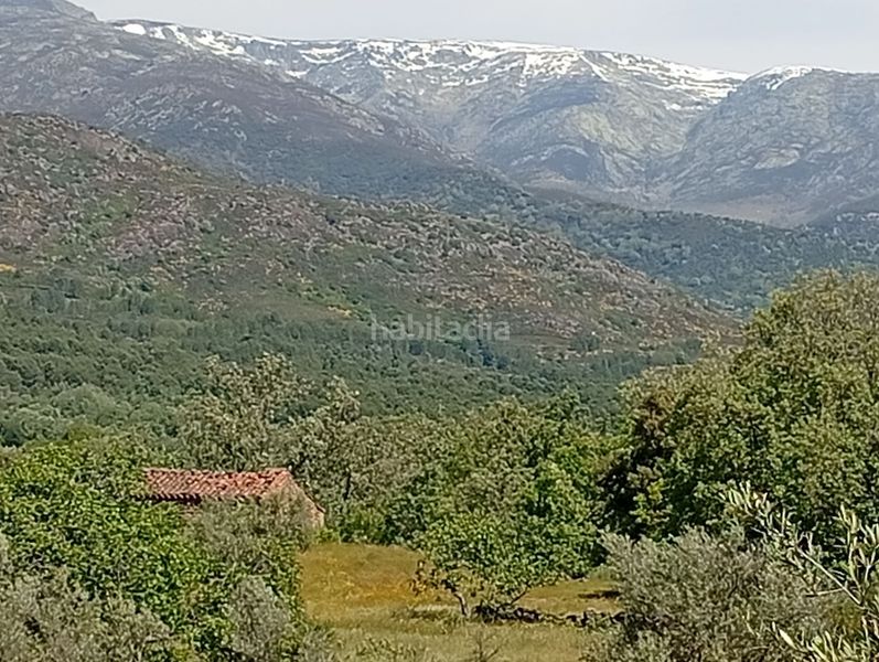 Foto 84f1e558-ad84-425c-b9e9-ffdab83906c5. Finca rústica a Villanueva de la Vera
