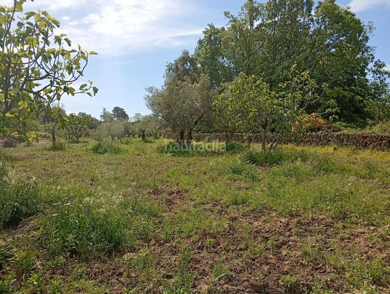 Foto 94d5a57f-6fc7-4b3f-a8c2-f55094d545ee. Finca rústica a Villanueva de la Vera