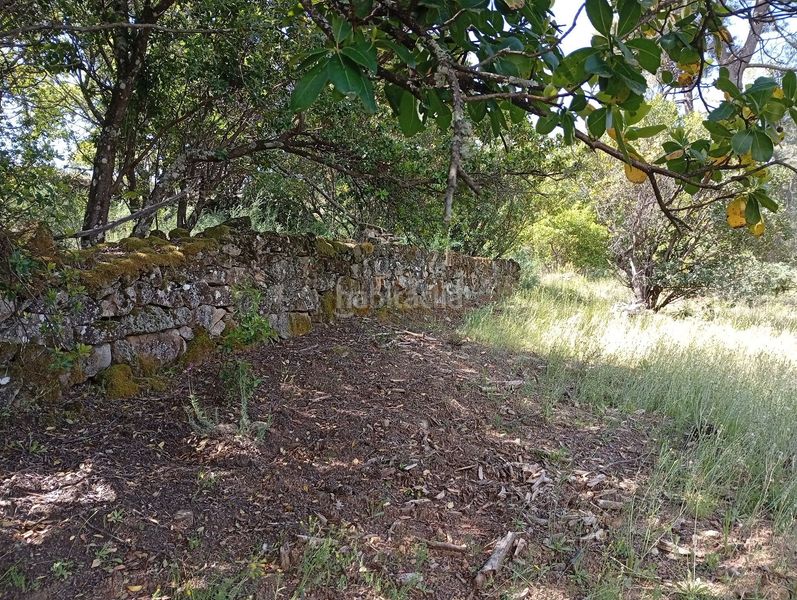 Foto a5f1e539-bbd4-4181-a409-fc328445f8b4. Finca rústica a Villanueva de la Vera