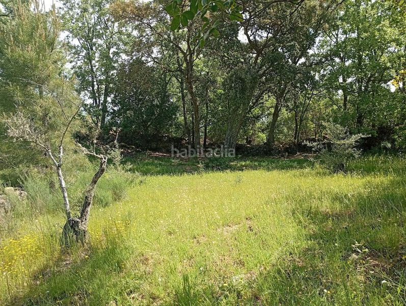 Foto aa371d98-31a4-479a-b4aa-be8870490363. Finca rústica a Villanueva de la Vera