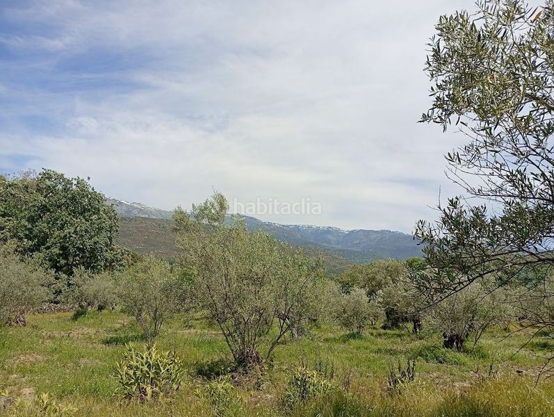 Foto ad3025c7-8ae9-4eb8-a42f-1c00961c0584. Finca rústica a Villanueva de la Vera