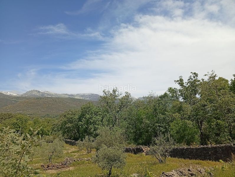 Foto b193120e-2cbc-4450-bb1a-e69ca5bc3be6. Finca rústica a Villanueva de la Vera