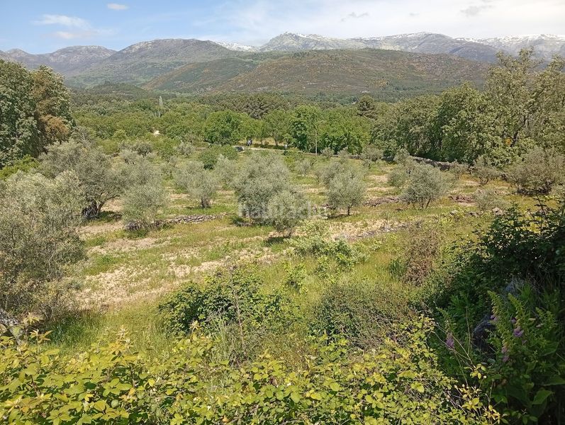 Foto b9160866-6160-42ca-8d31-fe5fbe37580c. Finca rústica a Villanueva de la Vera
