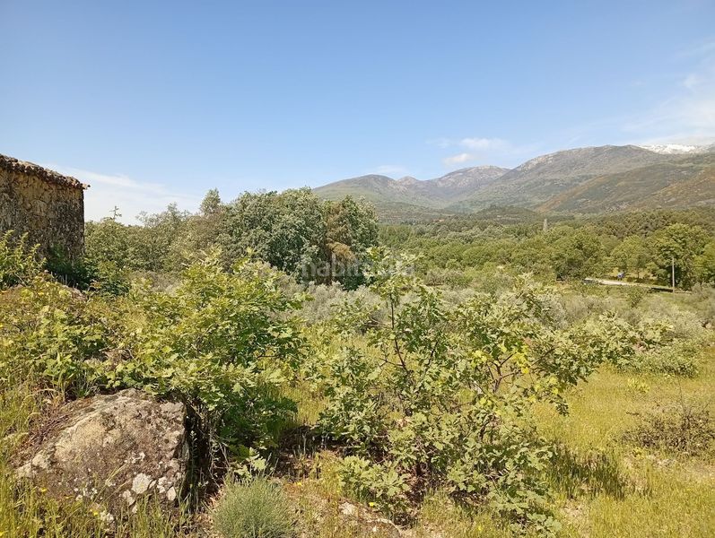 Foto baf531d0-862a-45f2-bea4-4e978f806613. Finca rústica a Villanueva de la Vera